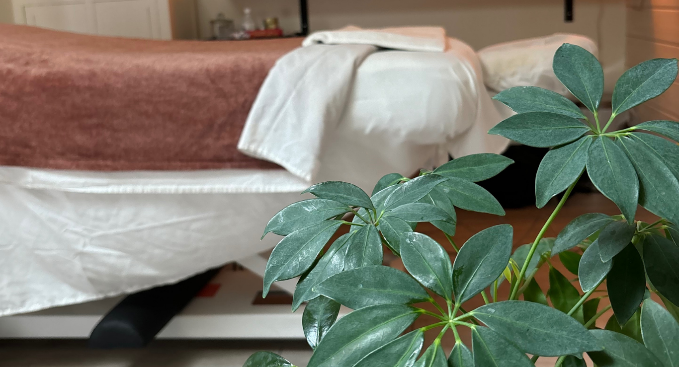 horizontal image of a massage bed and plant
